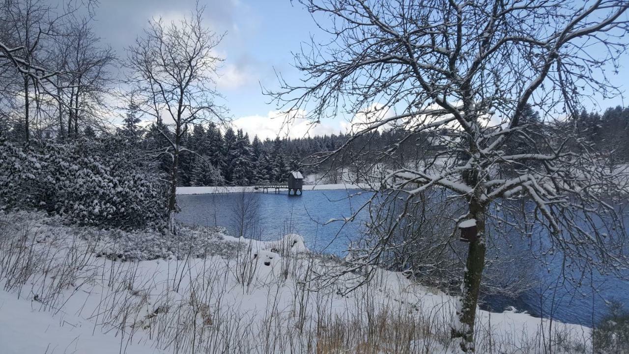 Hahnenklee Ferienpark 1-411 Goslar Buitenkant foto